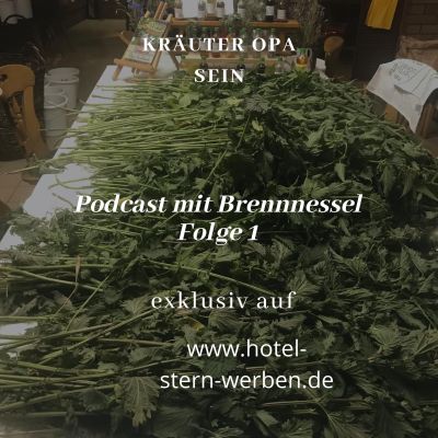 Brennnessel im Podcast