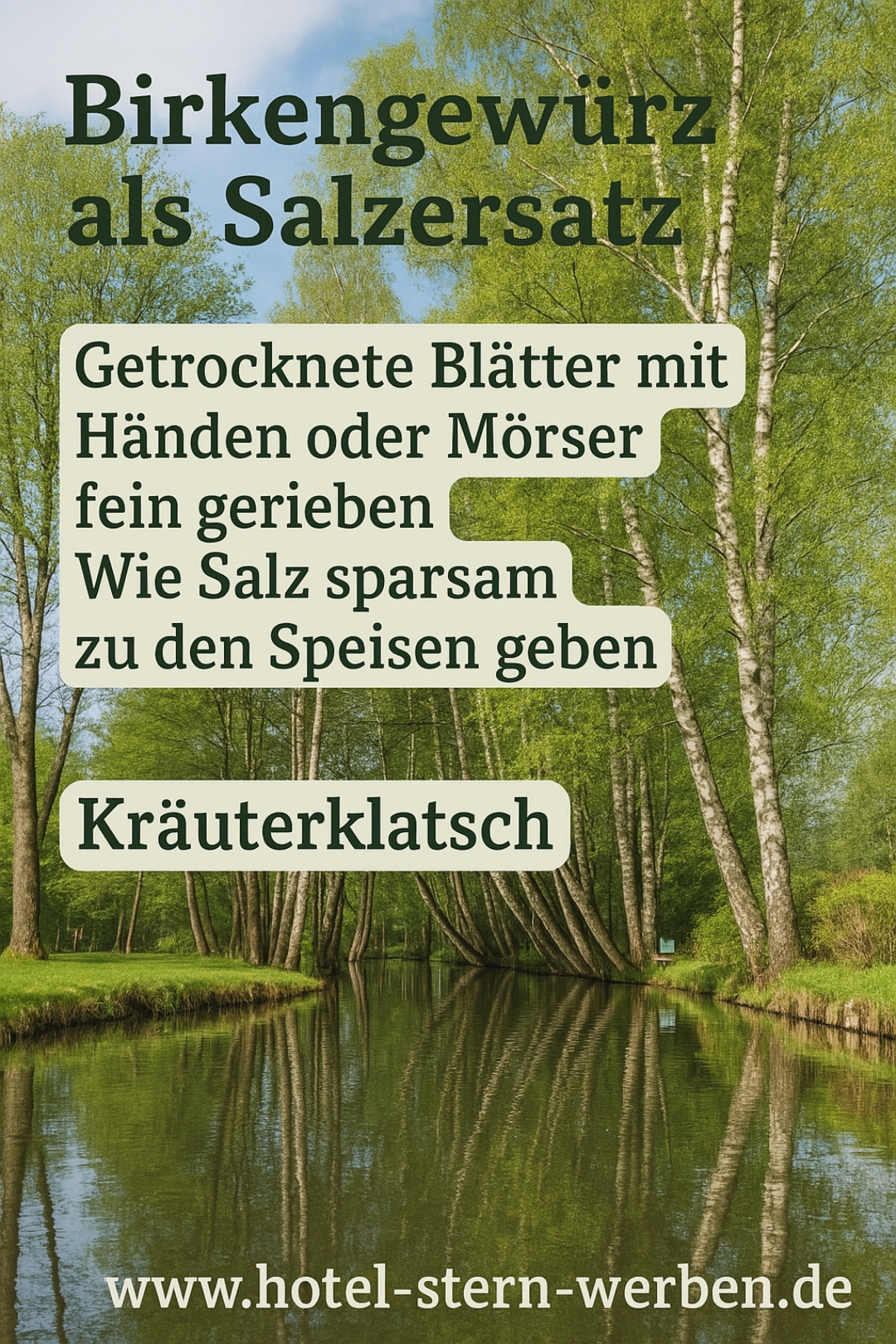 Entdecken Sie die Birke beim Kräuterklatsch!