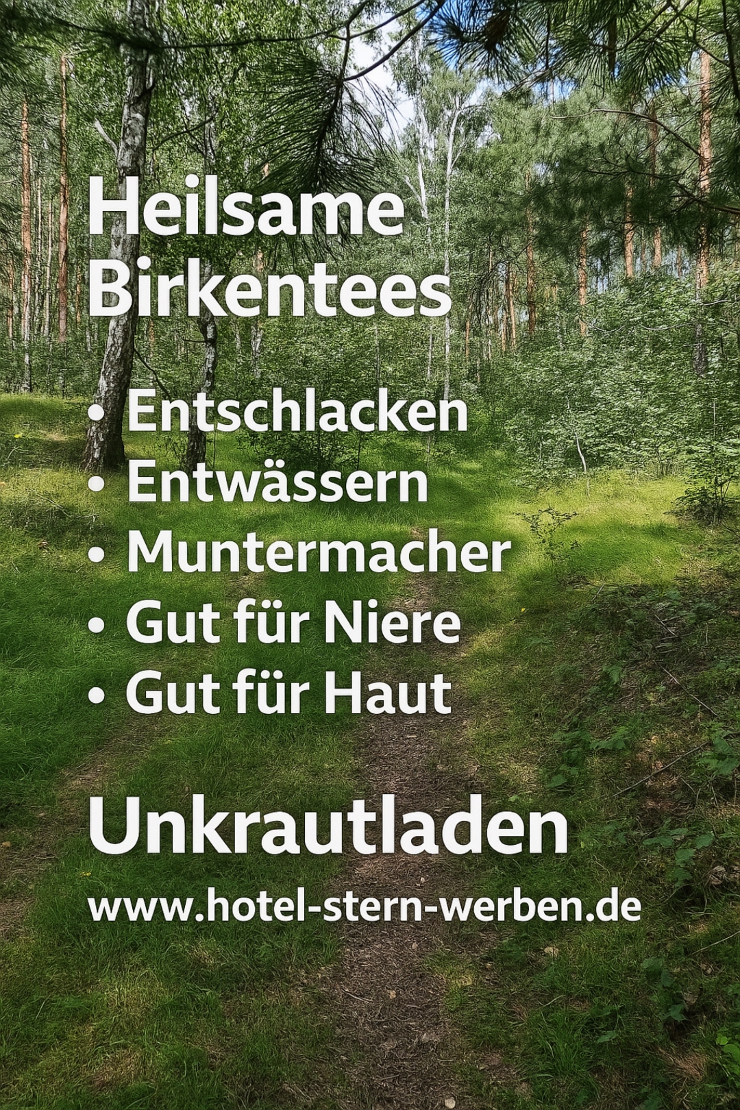 Entdecken Sie Birkentee beim Kräuterklatsch!