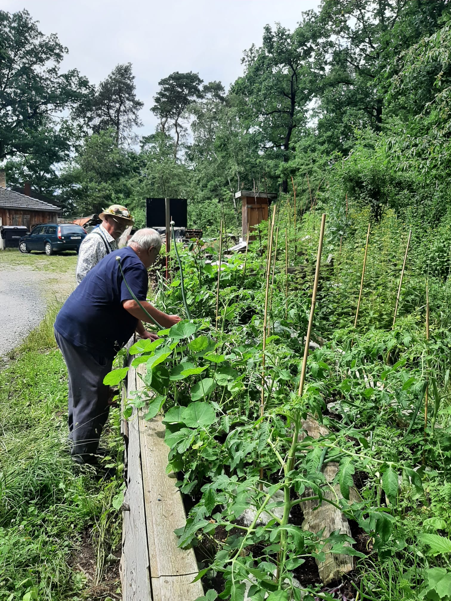 Neue Wege Hochbeet von Hubert Lange!
