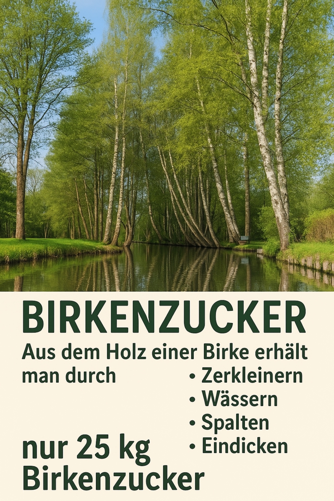 Entdecken Sie die Birke beim Kräuterklatsch!