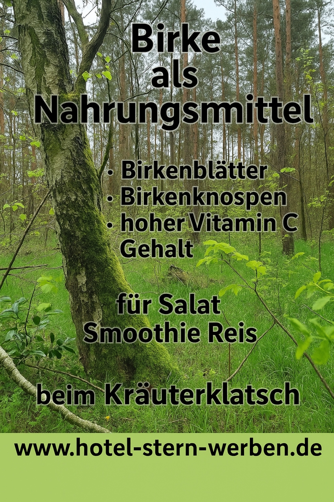 Entdecken Sie die Birke beim Kräuterklatsch!