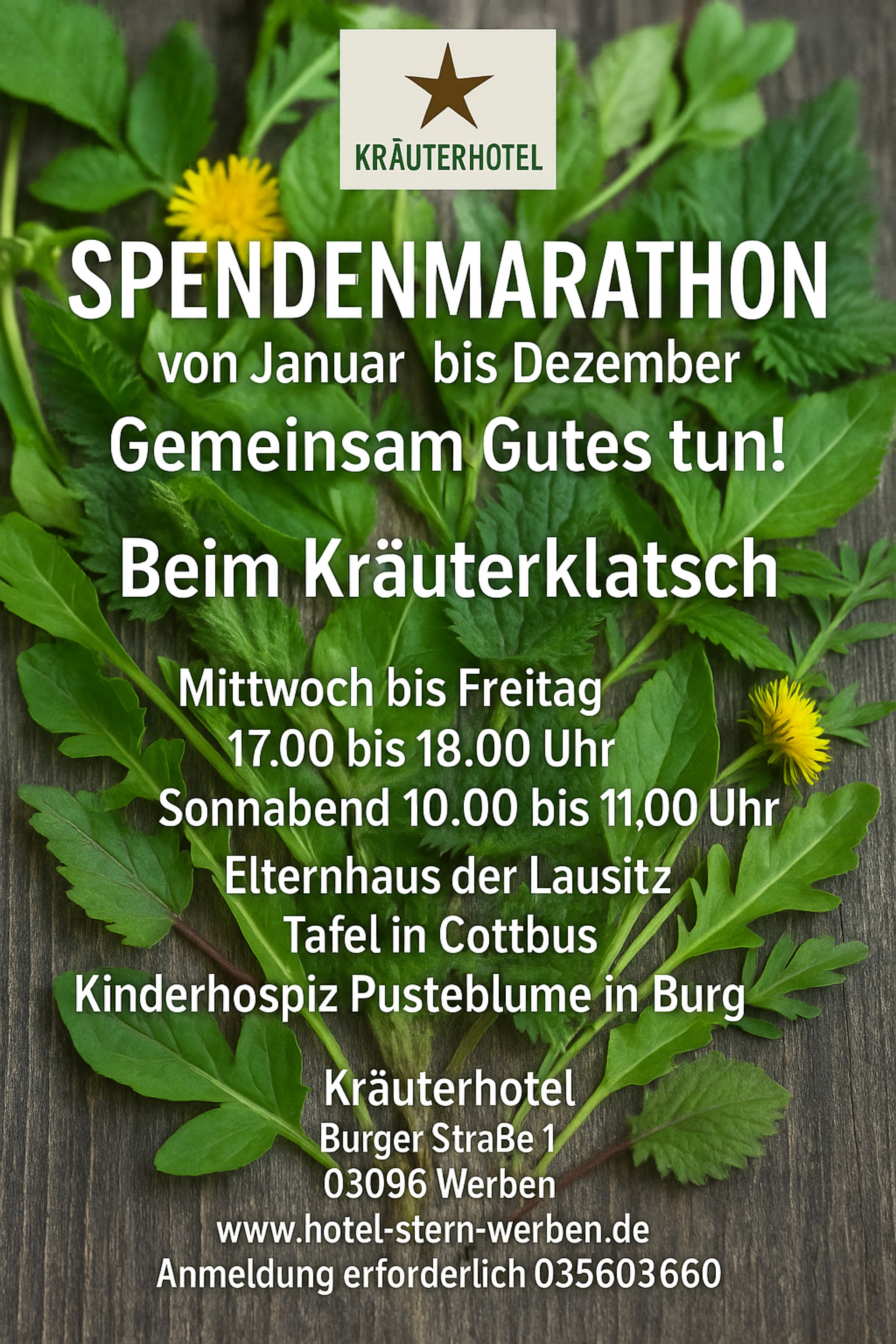 Auf zum Kräuterklatsch 