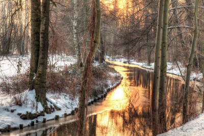 Winter im Spreewald