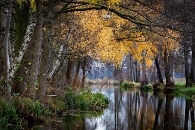 Herbst im Spreewald