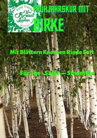 Birke im Spreewald