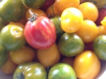 Tomaten im Unkrautladen