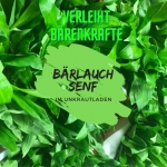 Bärlauch Senf 
