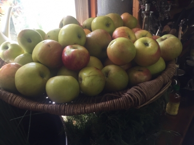 Äpfel in der Naturapotheke