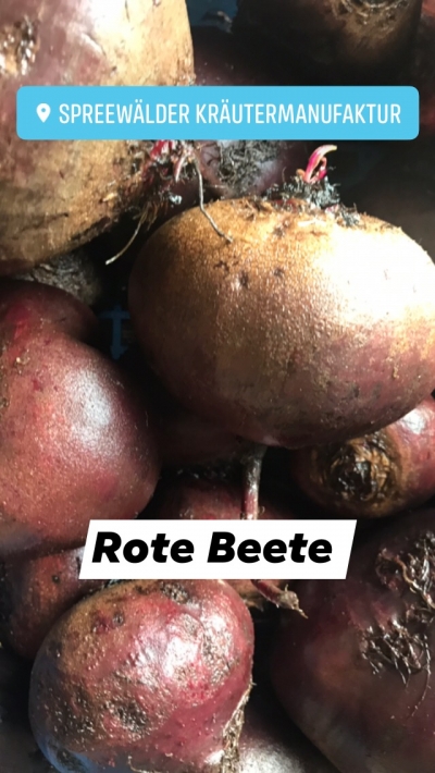 Rote Beete 